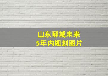 山东郓城未来5年内规划图片