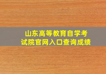 山东高等教育自学考试院官网入口查询成绩