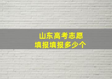 山东高考志愿填报填报多少个