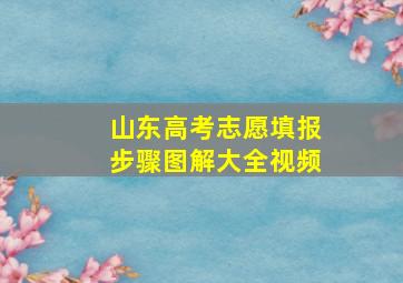 山东高考志愿填报步骤图解大全视频