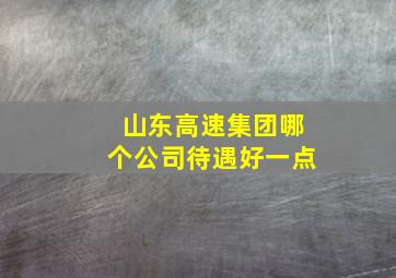 山东高速集团哪个公司待遇好一点