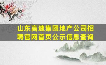 山东高速集团地产公司招聘官网首页公示信息查询