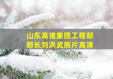 山东高速集团工程部部长刘洪武照片高清