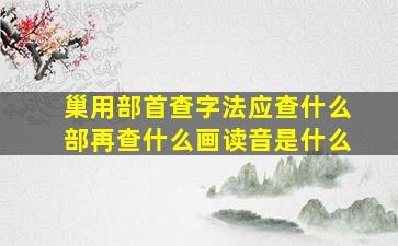 巢用部首查字法应查什么部再查什么画读音是什么