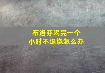 布洛芬喝完一个小时不退烧怎么办