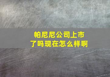 帕尼尼公司上市了吗现在怎么样啊