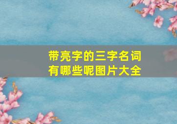 带亮字的三字名词有哪些呢图片大全