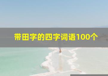 带田字的四字词语100个