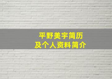 平野美宇简历及个人资料简介