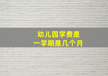 幼儿园学费是一学期是几个月