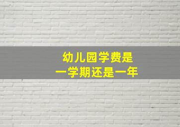 幼儿园学费是一学期还是一年