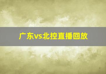 广东vs北控直播回放