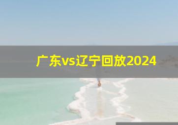 广东vs辽宁回放2024