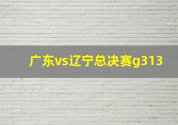 广东vs辽宁总决赛g313