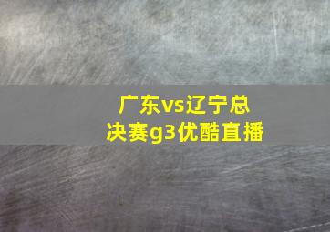 广东vs辽宁总决赛g3优酷直播