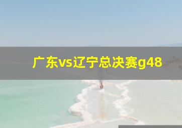 广东vs辽宁总决赛g48