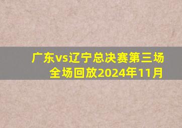 广东vs辽宁总决赛第三场全场回放2024年11月