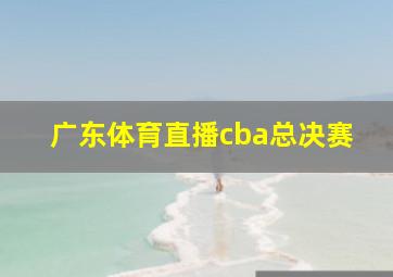 广东体育直播cba总决赛