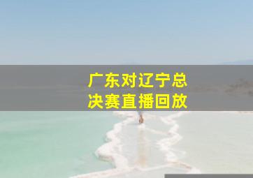 广东对辽宁总决赛直播回放