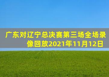 广东对辽宁总决赛第三场全场录像回放2021年11月12日