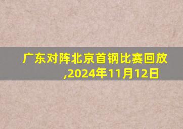 广东对阵北京首钢比赛回放,2024年11月12日