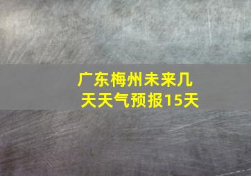 广东梅州未来几天天气预报15天