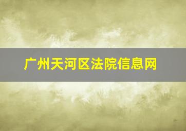 广州天河区法院信息网