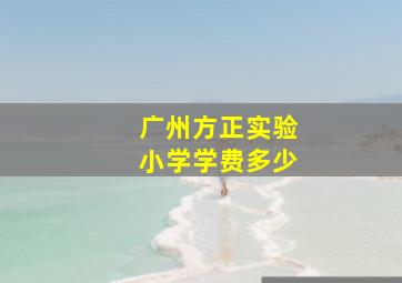 广州方正实验小学学费多少