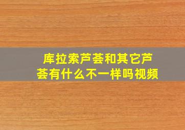 库拉索芦荟和其它芦荟有什么不一样吗视频