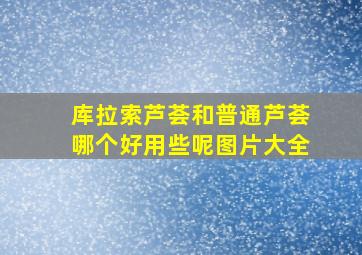 库拉索芦荟和普通芦荟哪个好用些呢图片大全