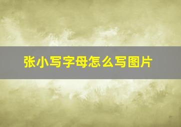 张小写字母怎么写图片