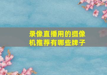 录像直播用的摄像机推荐有哪些牌子