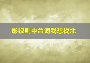 影视剧中台词我想找北