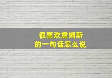 很喜欢詹姆斯的一句话怎么说