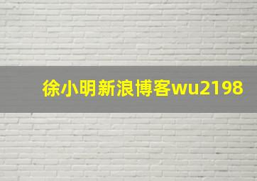 徐小明新浪博客wu2198