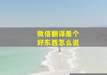 微信翻译是个好东西怎么说