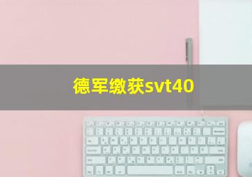 德军缴获svt40