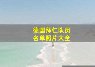 德国拜仁队员名单照片大全