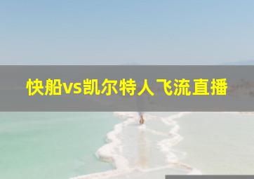 快船vs凯尔特人飞流直播