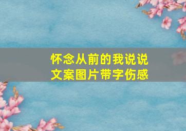 怀念从前的我说说文案图片带字伤感