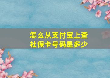 怎么从支付宝上查社保卡号码是多少