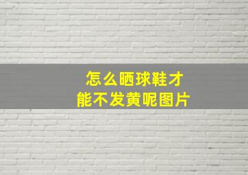 怎么晒球鞋才能不发黄呢图片