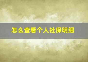 怎么查看个人社保明细