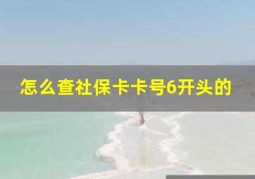 怎么查社保卡卡号6开头的