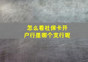 怎么看社保卡开户行是哪个支行呢