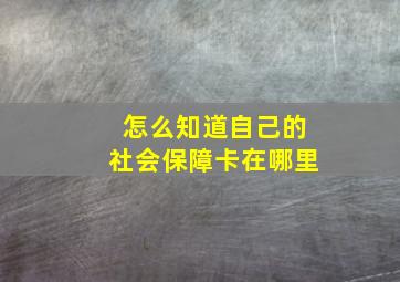 怎么知道自己的社会保障卡在哪里