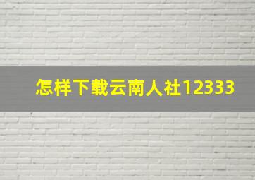 怎样下载云南人社12333