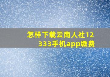 怎样下载云南人社12333手机app缴费