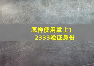 怎样使用掌上12333验证身份