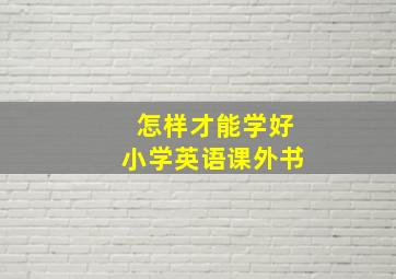 怎样才能学好小学英语课外书